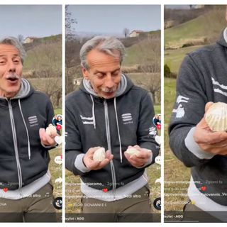 Collage di immagini tratte dal video in cui Giovanni Storti invita a rispettare la natura e mostra due reperti fossili risalenti all'epoca del 'mare Padano'