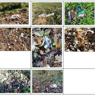 Collage di immagini di rifiuti abbandonati in zona Viatosto