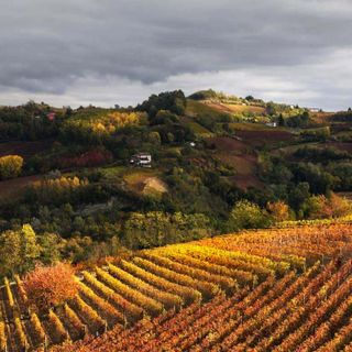 Colori del Nord Astigiano sontuosamente fotografati da Enzo Isaia