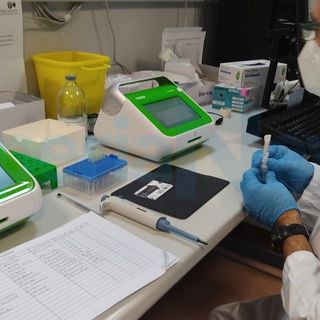 Covid, il Piemonte tra le prime regioni a rendere disponibile in farmacia il Paxlovid