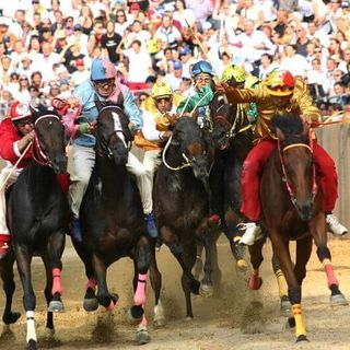 Palio di Asti e maltrattamento animali: assolti anche in Appello gli imputati