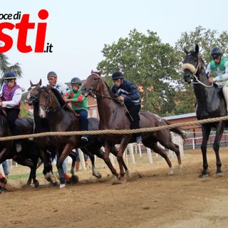 Galleria fotografica a cura di Merfephoto - Efrem Zanchettin