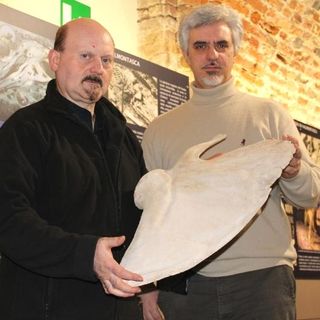 Bisconti e Damarco con una scapola di balenottera