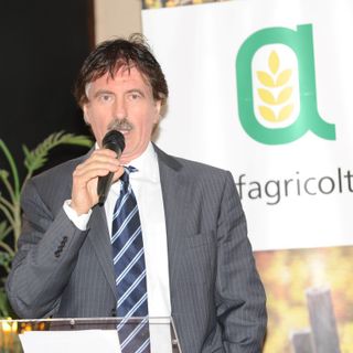 Ezio Veggia