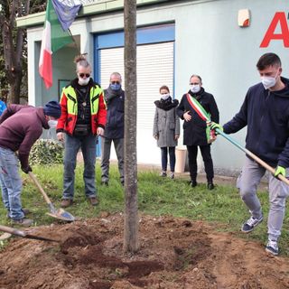 Oggi è la Festa dell'albero, anche nell'Astigiano iniziative e gesti concreti [FOTO]