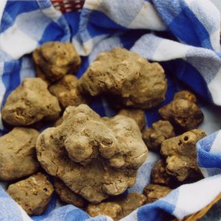 Niente Fiera del Tartufo a Montiglio Monferrato, appuntamento al 2021, quando sarà nazionale