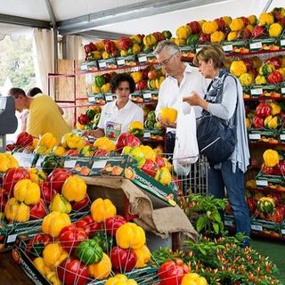 Carmagnola, al via la settantunesima Fiera Nazionale del Peperone &quot;speciale e diffusa&quot;