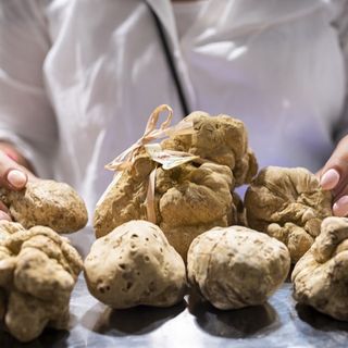 Indecisi su cosa fare in questo fine settimana? Ecco le nostre proposte