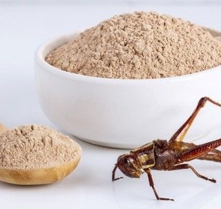I grilli &quot;invaderanno&quot; i supermercati e conquisteranno gli spaghetti?