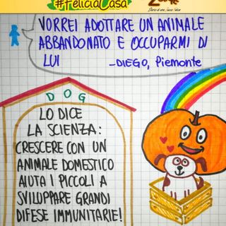 FavoleaCasa: Fata Zucchina legge e commenta &quot;il prezzo del cagnolino&quot;, racconto per l'anima