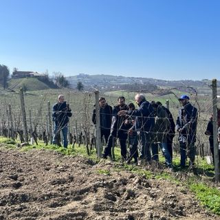 A Castagnole delle Lanze Festa della potatura e nuova stagione di &quot;Adotta un filare nelle Lanze&quot;