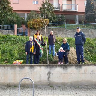 Piantati a Costigliole d'Asti 37 alberi, uno per ciascun nuovo nato