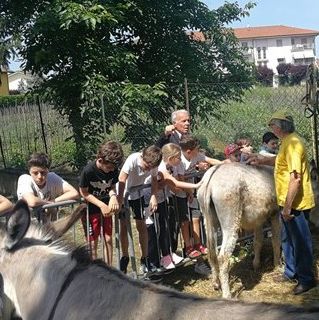 Festa della Terra Villanova d'Asti