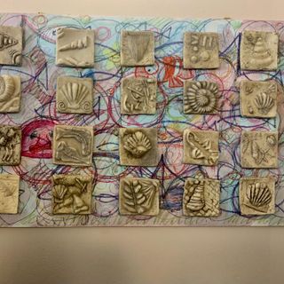 Sulle orme dei fossili preistorici con i ragazzi del Liceo Artistico
