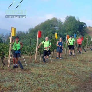 Le camminate del Monferrato Nordic Walking