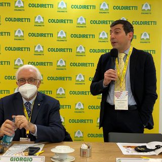 Calabrese e Furia