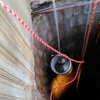 Immagine di archivio