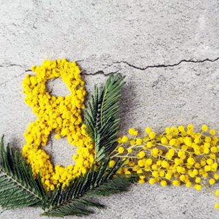 Il ringraziamento della Toponomastica femminile all'ANCI