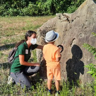 Riprendono gli appuntamenti per famiglie a cura del Museo Paleontologico