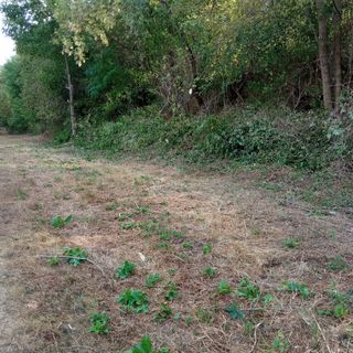 L'area oggetto di intervento