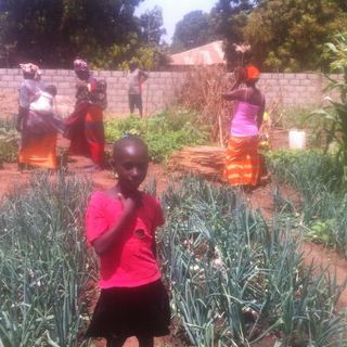 Il bilancio sul progetto di cooperazione in Senegal, tra ricordi di volontari ed esperienze dirette
