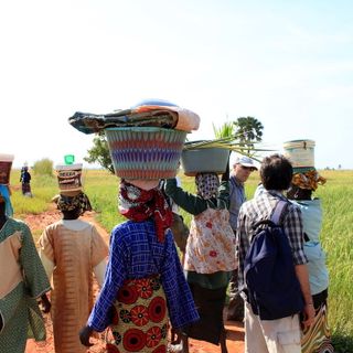 &quot;Rafforziamo le donne contadine&quot;: Cesare Quaglia racconta l'esperienza di ritorno dal Senegal