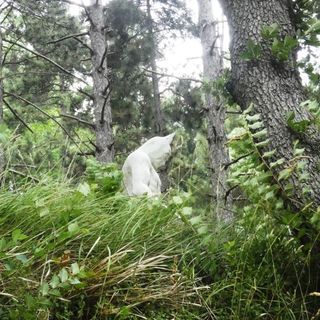 Colline d’arte: al Parco Quarelli di Roccaverano la prima edizione