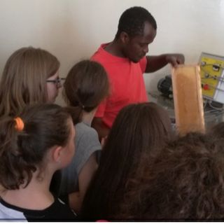 Il Laboratorio delle Api di Takumbo Takam Paulin – Az. Agricola Polyagrinova (Miele Bio)