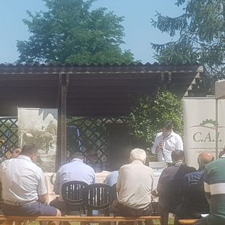 Assemblea ATIMA