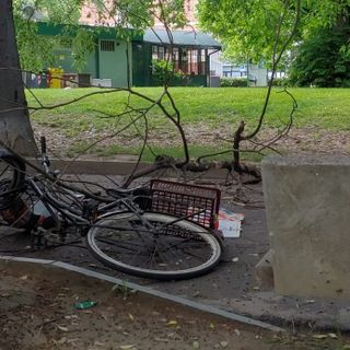 Giardini pubblici: a causa del forte vento un ramo cade in testa ad un ciclista