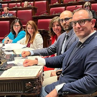 Coppo nel &quot;comitato dei 9&quot;dicati rispettivamente da ogni gruppo parlamentare per l'esame degli emendamenti e degli ordini del giorno durante la discussione del provvedimento