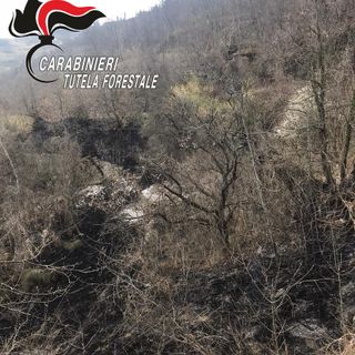 Vasto incendio boschivo a Roccaverano. Bruciato un ettaro e mezzo (AGGIORNAMENTO)