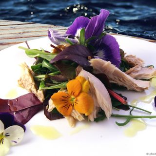 Sanremo: agricoltori e chef a scuola per studiare i fiori eduli