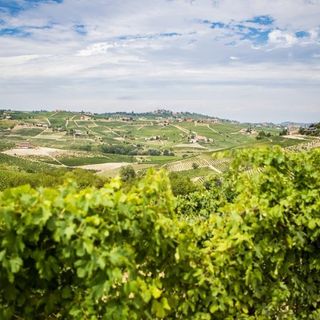 Viviamo in un posto bellissimo ricco di agroalimentare a rischio