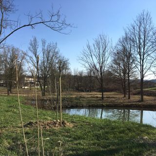 Scorci del parco giochi a Baldichieri e del parco delle Verne a Villafranca