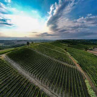 Le colline del Ruché di Castagnole Monferrato