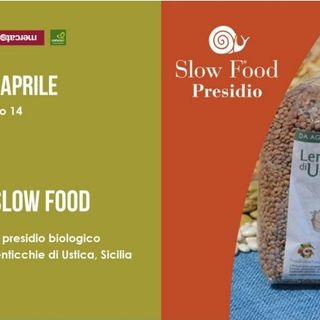 Locandina lenticchie di Ustica
