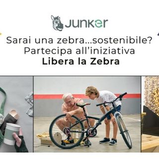 Un'immagine promozionale della Campagna &quot;Libera la zebra&quot;
