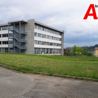 Il Liceo Scientifico Francesco Vercelli