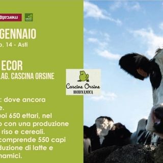 Locandina presentazione Cascine Orsine