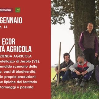La locandina della giornata dedicata all'azienda agricola veneta