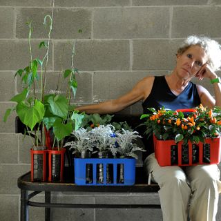Lorenza Zambon, ideatrice del progetto culturale