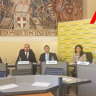 Un momento della conferenza stampa di presentazione dell'iniziativa