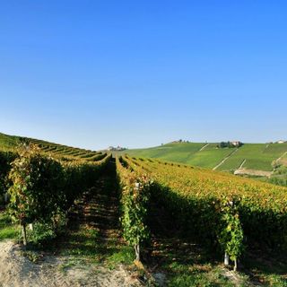 L'Asti Docg sarà anche rosé: la modifica al disciplinare presentata ai Comuni del Moscato