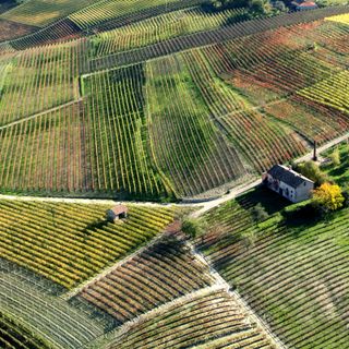 Colline monferrine viste dall'alto