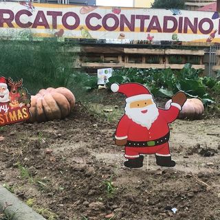 Il Natale arriva anche al Mercato contadino di Campagna amica per il suo primo compleanno