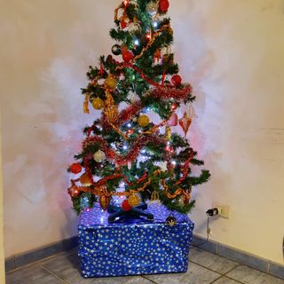 Albero di Natale dormitorio di Asti