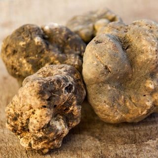 Tartufo, vino e sapori di autunno: ecco cosa fare nell'Astigiano in questo penultimo fine settimana