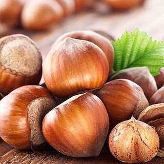 Prezzo delle nocciole: la Camera di Commercio di Alessandria – Asti aggiorna il listino