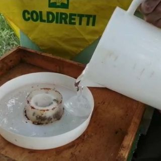 Giornata delle api: clima impazzito  mette a rischio la produzione di miele